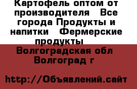 Картофель оптом от производителя - Все города Продукты и напитки » Фермерские продукты   . Волгоградская обл.,Волгоград г.